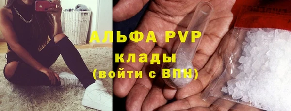 spice Инта