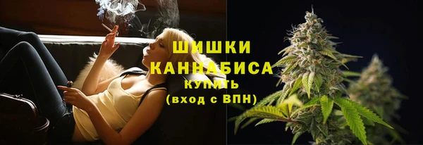 гидра Зеленокумск