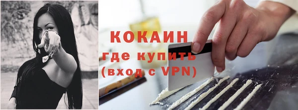 гидра Зеленокумск