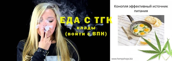 spice Инта